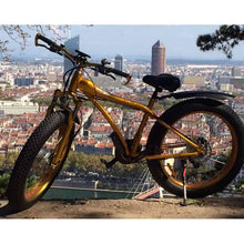 Charger l'image dans la visionneuse de la galerie, VTT électrique Fat Bike - PIE TECHNOLOGIE